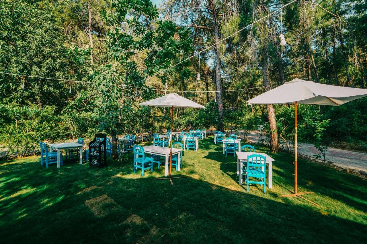 Hotel Forest Gate Гьоджек Екстер'єр фото